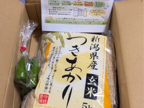 新米 新潟県産 つきあかり 5キロ 玄米 令和8年産 お米 (72)：新潟県産