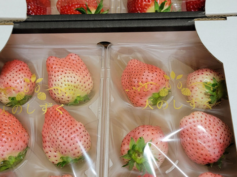 白イチゴ（230g✖️2）