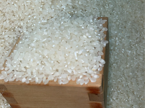 2025年 新米！ 愛媛県産 コシヒカリ  5kg　5,250円