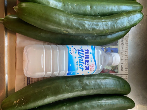 今夜は夏野菜カレーに決まり！夏野菜６品目セット　１人前