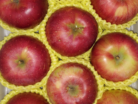 まるせい果樹園のりんご　おまかせ　　3kg自家用　贈答用　(6～15玉入り)　玉数指定不可　or1