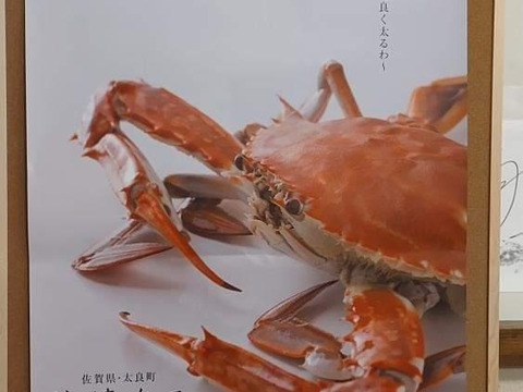 漁師直送!今が旬竹崎かに🦀
