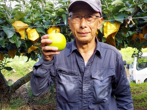 なつひめ梨　5キロ