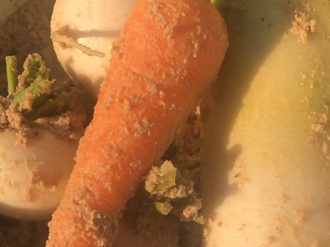 ぬか漬けセット🍆🥕【数量限定❗❗】ばぁばのモノスゴイ野菜（大根とカブつき🥕）😋🍙子供に食べさせたい野菜❗❗✨✨✨