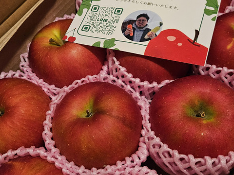まるで採れたて】シナノスイート 訳あり 3kg りんご 甘い ご家庭