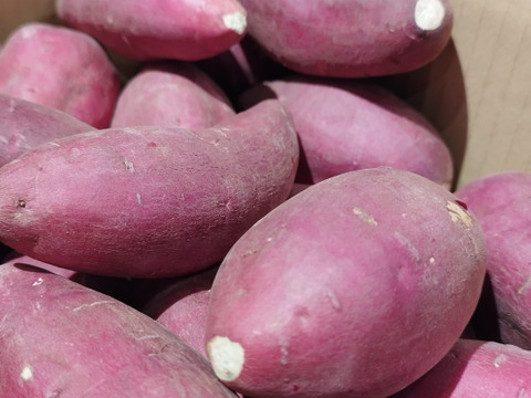 日本さつまいもサミット2023-2024最高栄冠受賞・髙鍋農園ブランド”おいしさの極み”紅琥珀スイート®は畑から収穫した天然スイーツ。上品な甘さが最高に美味しいスイーツ❗😋3㎏【阿蘇・西原産】