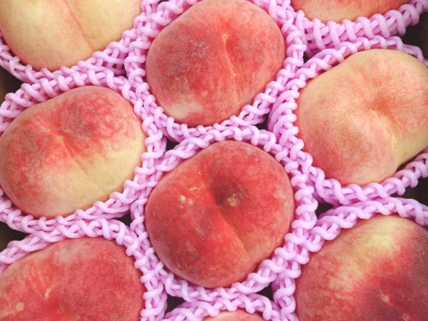 【優品】産地直送！硬めの桃（ご家庭用・3㎏）※品種：さくら【最終10箱限定】