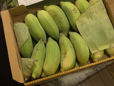 【特別価格！】沖縄産ナムワバナナ１kg