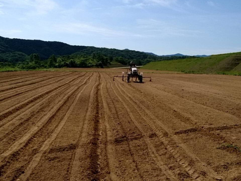 きてらのうまうま大豆！大粒！-2kg-