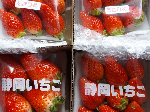 4Pいちご狩りの美味しさをお届け！伝統の石垣いちご（270g×4パック）