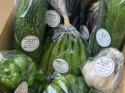完売【無農薬ニンニク（300g）付き】旬のお野菜セット（栽培期間