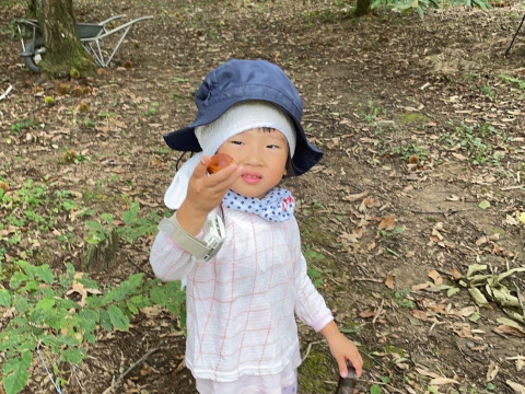 【１kg】味、香り、絶品！ほっぺのおちる栗『Lサイズ以上』(熊本県産)