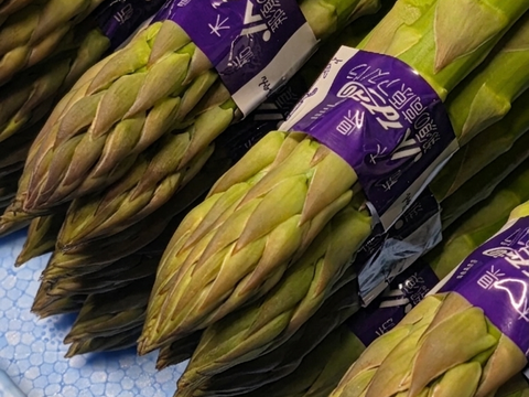 【受賞記念&登録記念SELE🎊】那須塩原産アスパラガス｜2Lのみ｜朝採れ｜1.0kg｜じゅわっと春のごちそう