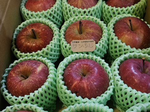 【小玉】☆化学農薬不使用りんご☆サンふじ/小玉12〜15個入り（2.5キロ）