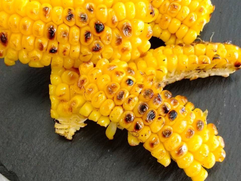 【予約必須】北海道産 たった2回のみの収穫！！メロンより甘い⁉糖度17度のトウモロコシ！10本入り！3・4人家族用