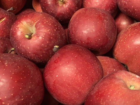 セット宮美ふじ家庭用訳あり小玉箱込5.5キロ＋蜜入りチェック済！超遅もぎ樹上完熟蜜入り葉取らずこうとく約1.8キロ6-12玉