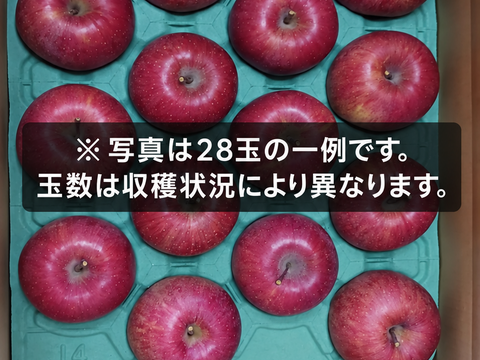 2026年産予約〗【贈答用】信州上田産サンふじ〈秀〉10kg｜前年476果