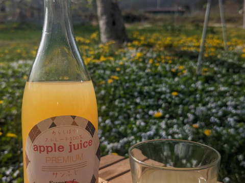 ストレートリンゴジュース720ml２本セット