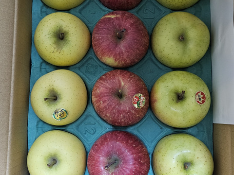 【3種食べ比べセット】サンふじ　シナノゴールド　王林　（9個～12個）3キロ箱使用