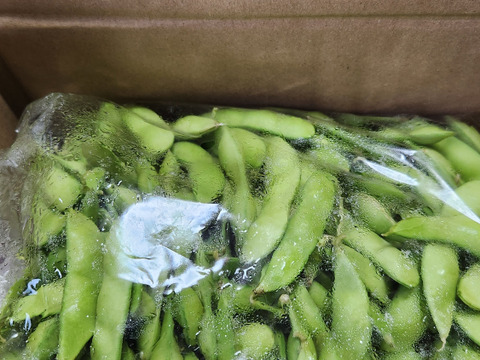 【今日発送】【希少】枝豆王国新潟から☆ブサイクなB品（1.5kg）　生産者は毎日この枝豆食べてます(^^)