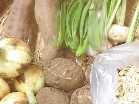 耕さない、草の畑の種取りやさいたち