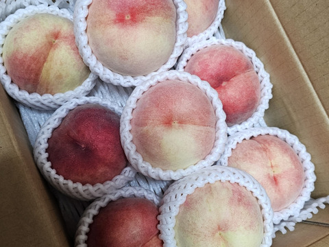 朝どれ】家庭用お試し 小玉 ちびっ子 桃 山形県産 【白桃品種お任せ