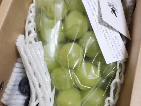 特別栽培ぶどう雄宝♡山形県産♡上品な甘さをお届け♡