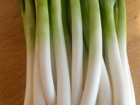 信州・トロっと甘い！長ネギ（３㎏）　農薬化学肥料不使用