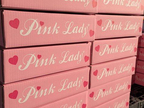 食べるシャンパン！『ピンクレディー®』4.5㎏　18～28玉サイズ
甘酸っぱく濃厚　全国流通量0.015％の希少種　長野県　標高600mの高原からお届け