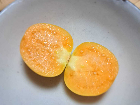 甘酸っぱくてまるでトロピカルフルーツ！「食用ほおずき」100g×8パック/栽培期間中農薬、化学肥料、除草剤不使用