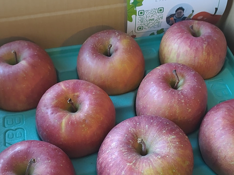 りんご サンふじ 3kg 8個〜12個入り リンゴ  秋田 雪 甘い  りんご   フルーツ お取り寄せ お取り寄せグルメ アップル  おやつ デザート 母の日 甘いりんご