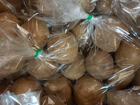 【毎日のフルーツに】福岡県八女産アップルキウイ 約6kg｜５５個以上｜ご家庭に一番おすすめ｜ 食べやすいサイズ中心（約111〜145g）｜農薬・化学肥料不使用