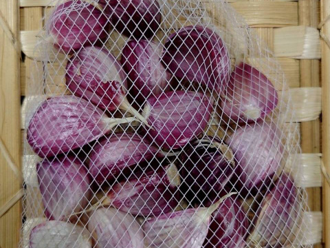 採れたて新鮮！鳥取大山の麓　にんにく200g！　女性のパワーで大地を彩る