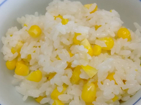 【予約必須】北海道産 たった2回のみの収穫！！メロンより甘い⁉糖度17度のトウモロコシ！10本入り！3・4人家族用