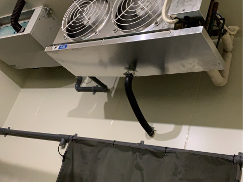 シャキッとりんご！奥州ロマン　(スマートフレッシュ)