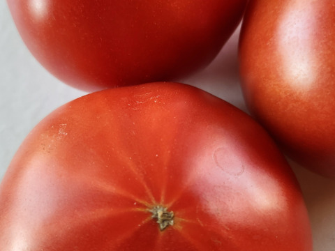 毎食トマト！バクバク食べちゃう栄ちゃんトマト　沢山入りました！6キロ入り　まとめ割り実施中❗