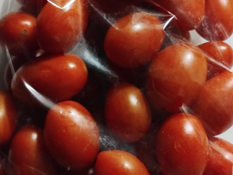 リコピン2倍！高糖度！【シュガープラム】0.7K