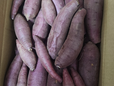 （ほくほく系）超お得！食品ロス削減応援・訳あり紅まさり6キロ以上！目一杯詰めます。