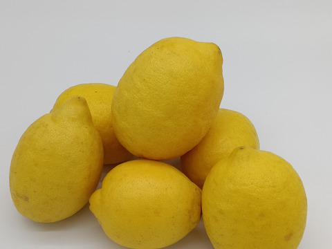 レモン特選　大玉（2Lサイズ）【10㎏】