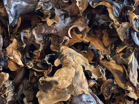 【乾燥きくらげ、生きくらげセット品】いりすのきのこ（乾燥きくらげ3パック、生きくらげ3パック）【福袋】