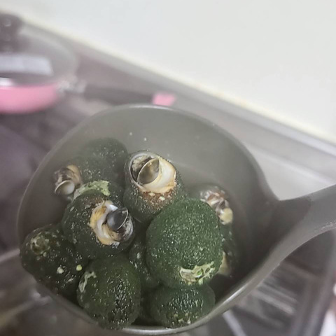 やめられない 止まらない ビナ貝 1kg 大きさは画像2で確認してください 福岡県のレビュー一覧 食べチョク 農家 漁師の産直ネット通販 旬の食材を生産者直送