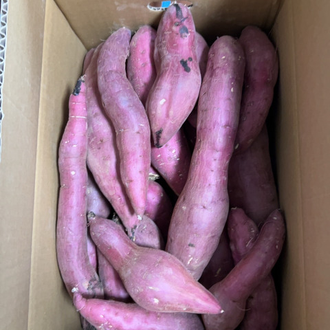 最新最全の 訳あり！熟成紅はるか 20kg さつまいも：茨城県産の野菜｜食べ 野菜