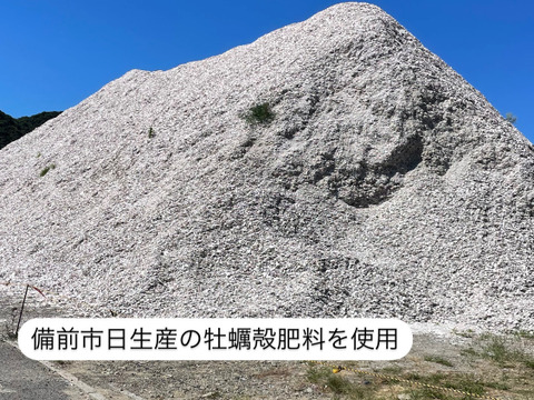 ちょうどいいサイズ！岡山県産ピオーネ&シャイン２房入り