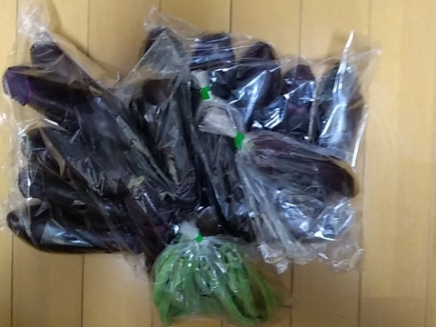 つやつや真っ黒！群馬の露路ナス（M〜Lサイズ、常温60サイズです。）