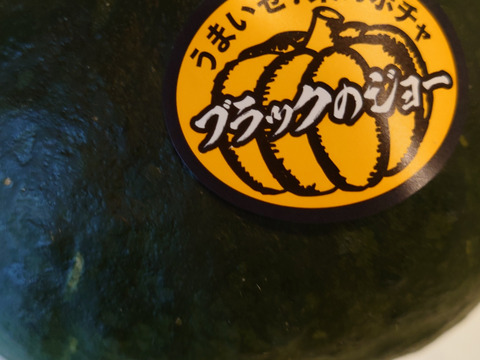 栗のように甘いかぼちゃ、ブラックのジョー