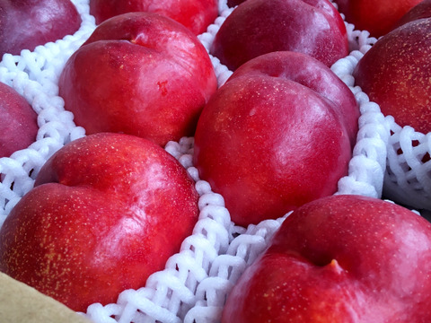 甘酸っぱくてジューシー！ネクタリン『メイグランド』(秀品約3㎏)【お中元対応可】