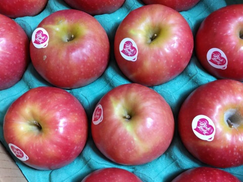 発送中🍎 ピンクレディー®︎3キロ箱 長野県 信州 安曇野 リンゴ 幻 幻