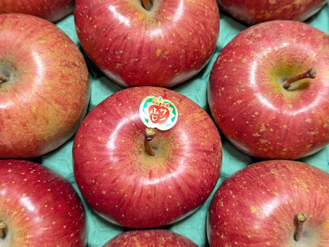 発送開始！完熟葉とらずサンふじ🍎約3kg