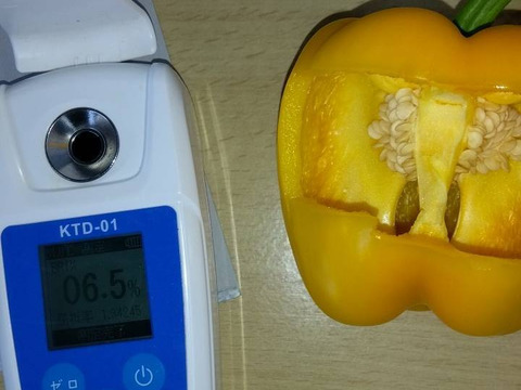 【黄色2キロ】めちゃくちゃ甘い！ジューシー肉厚パプリカ！