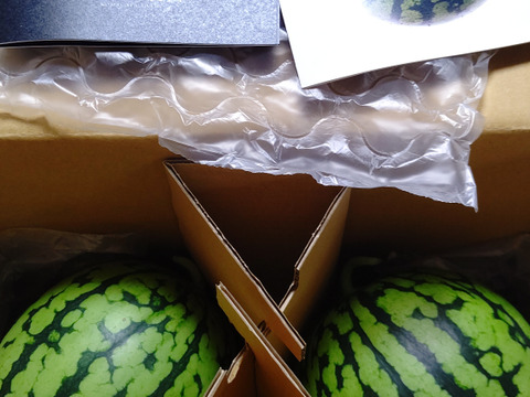 とにかく甘い！八色産【小玉スイカ】「こまがた家の八色のスイカ」2玉